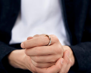ring segment la 8g