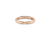 ring segment la 9g