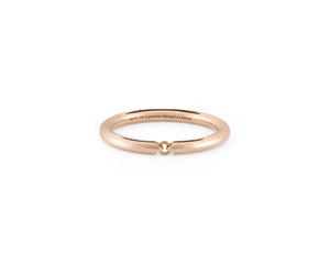 4g segment ring